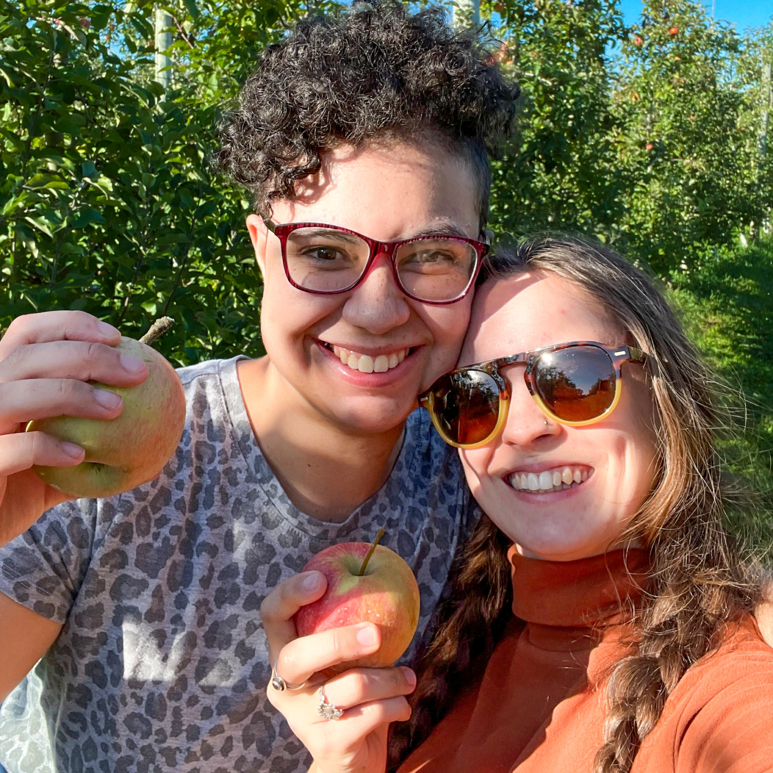 Apples for us all! Camphill School